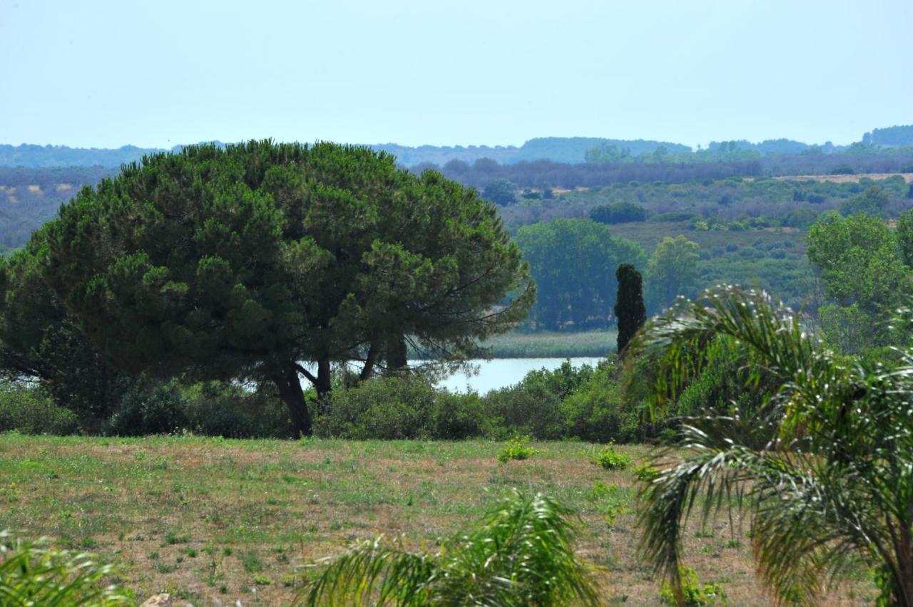 Maison d'hôtes La Limini